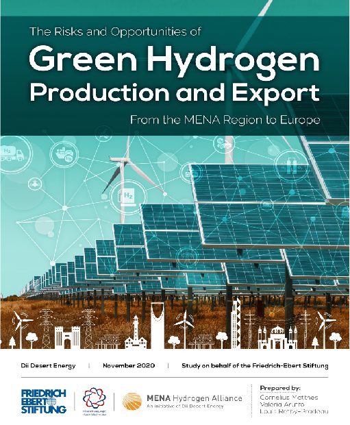 The risk and opportunities of Green Hydrogen Production and Export