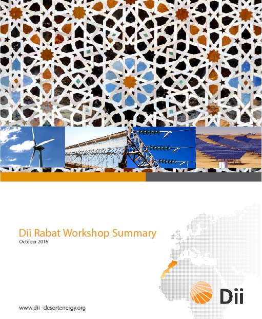 Dii Rabat Workshop Summary